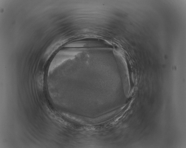 X0000067890194200604271835