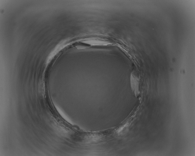 X0000067890198200604271835