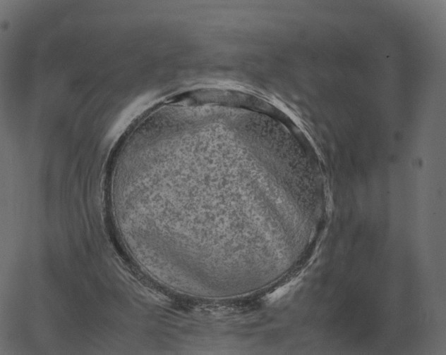 X0000067890199200604271835