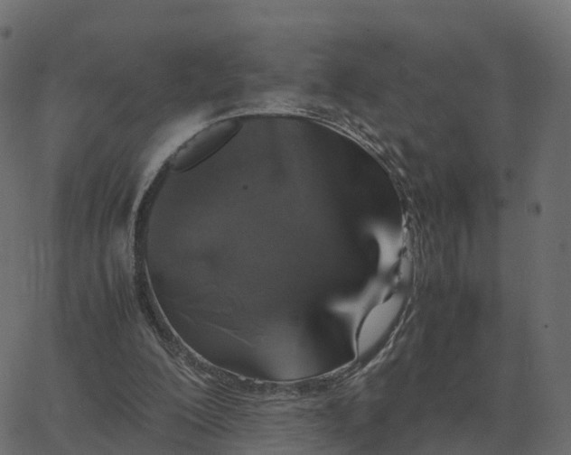 X0000067890200200604271835