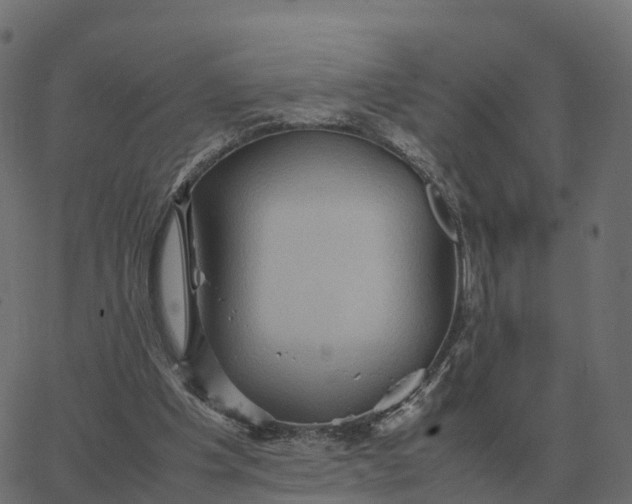 X0000067890201200604271835