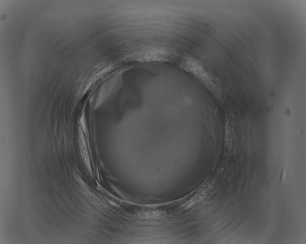 X0000067890202200604271835