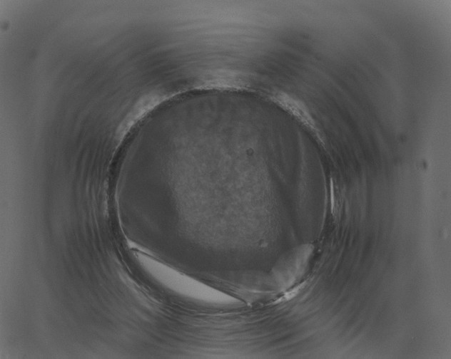 X0000067890204200604271835