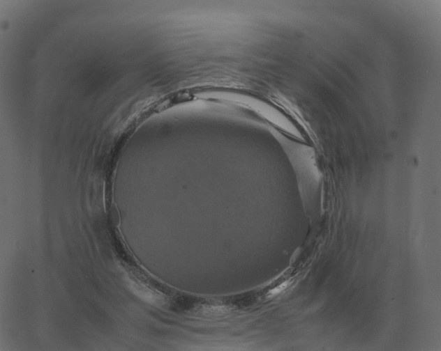 X0000067890205200604271835