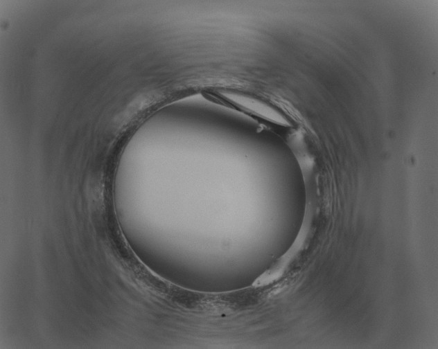 X0000067890207200604271835