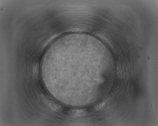 X0000067890208200604271835