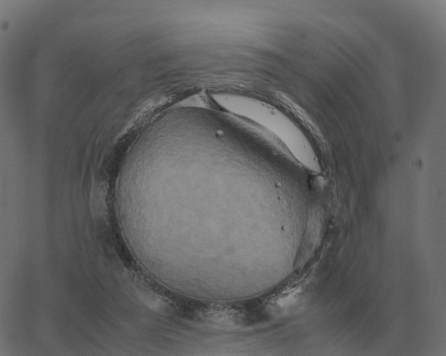 X0000067890209200604271835