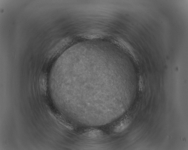 X0000067890210200604271835