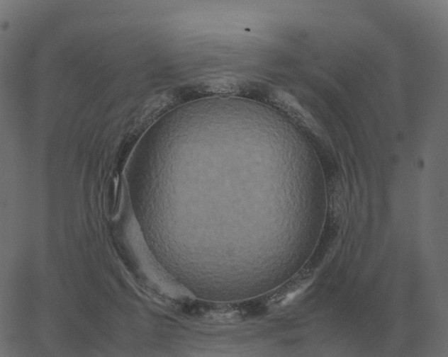 X0000067890213200604271835