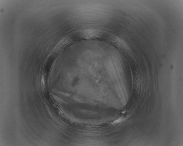 X0000067890214200604271835