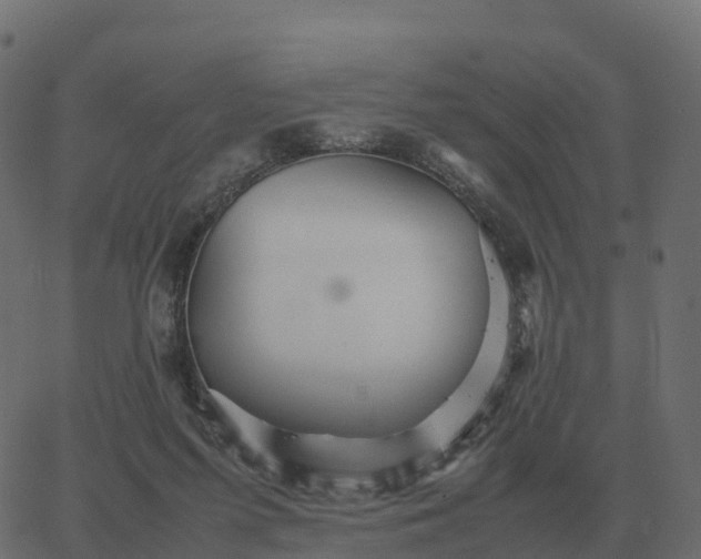 X0000067890215200604271835