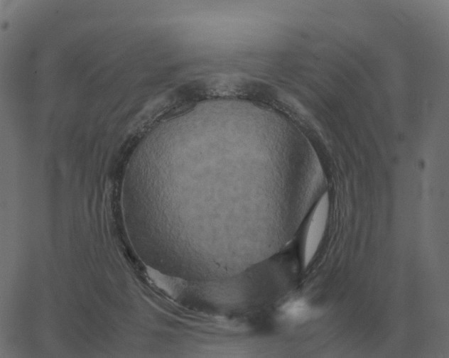 X0000067890217200604271835