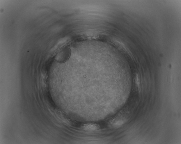 X0000067890218200604271835