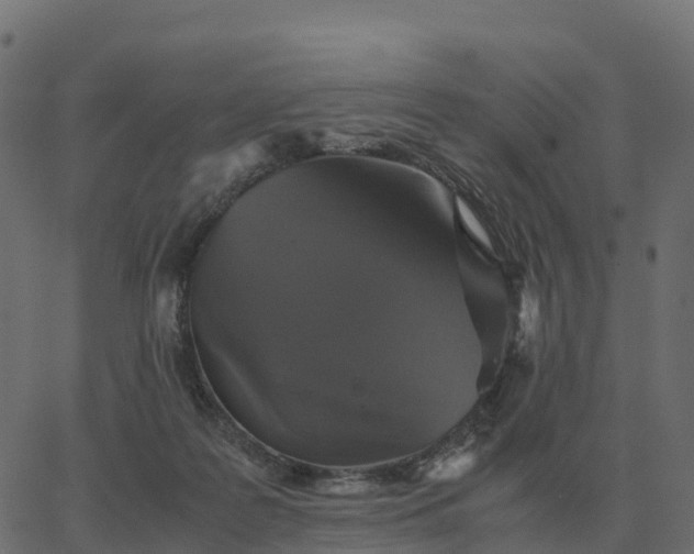 X0000067890219200604271835