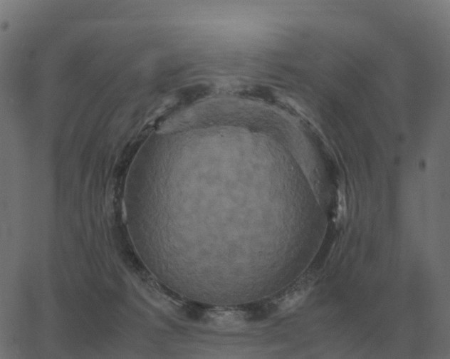 X0000067890221200604271835