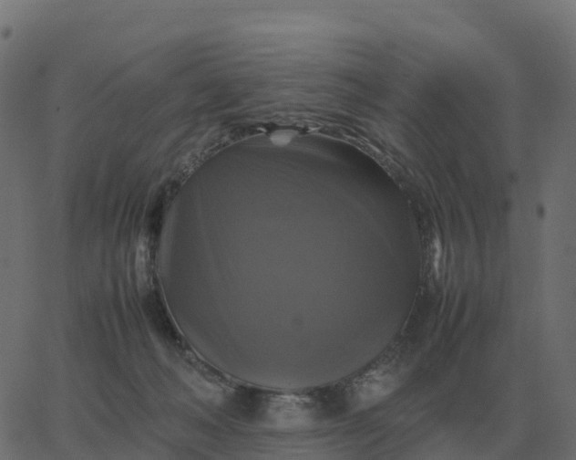 X0000067890222200604271835