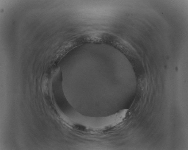 X0000067890223200604271835