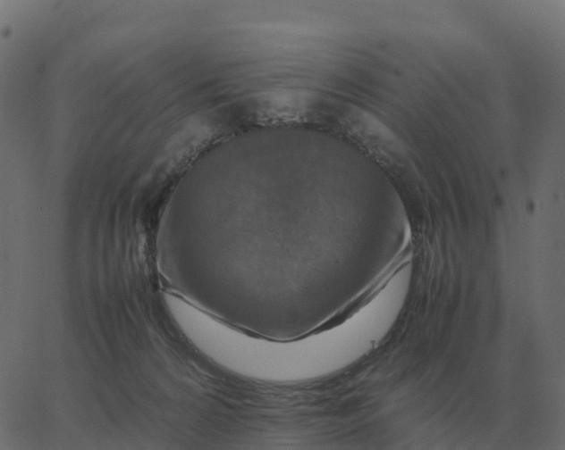 X0000067890224200604271835