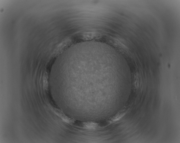 X0000067890226200604271835