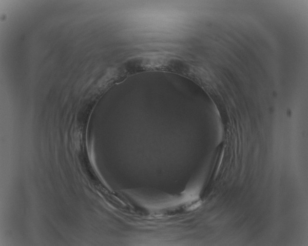 X0000067890227200604271835