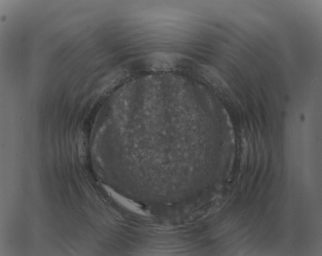 X0000067890228200604271835