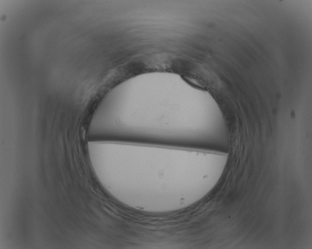 X0000067890229200604271835