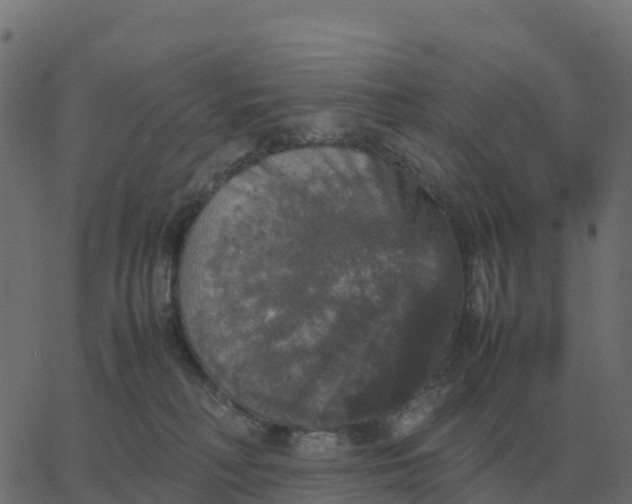 X0000067890230200604271834