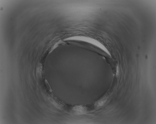 X0000067890231200604271834