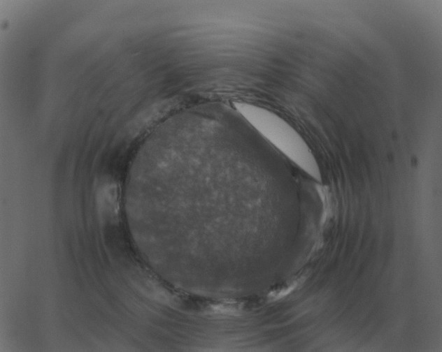 X0000067890232200604271834