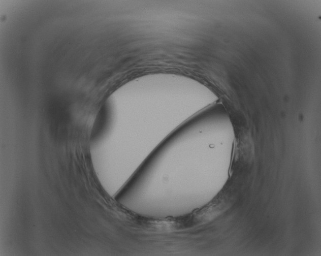 X0000067890233200604271834