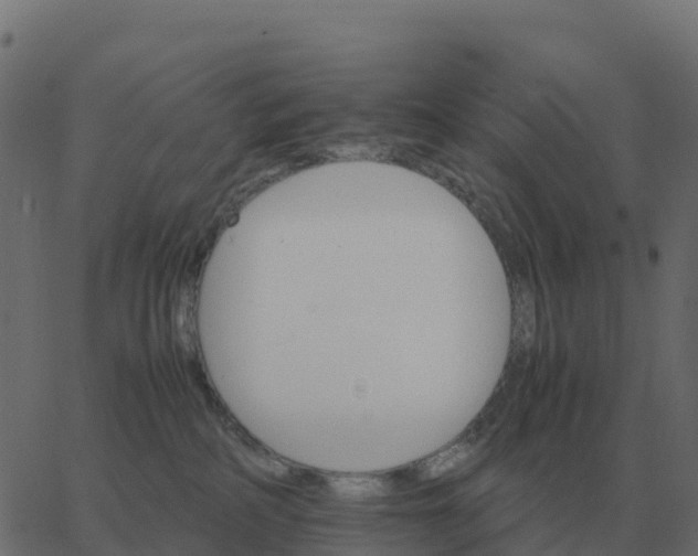 X0000067890234200604271834