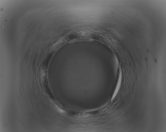 X0000067890235200604271834