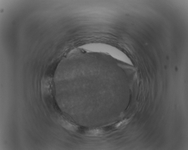 X0000067890237200604271834