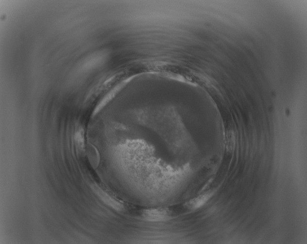 X0000067890238200604271834