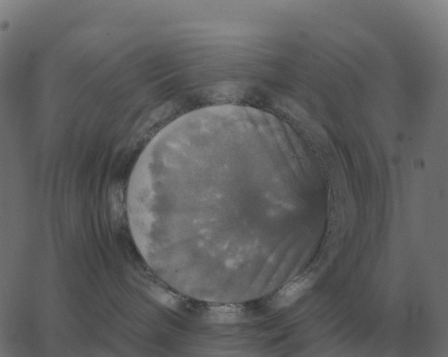 X0000067890240200604271834