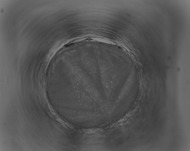 X0000067890241200604271834