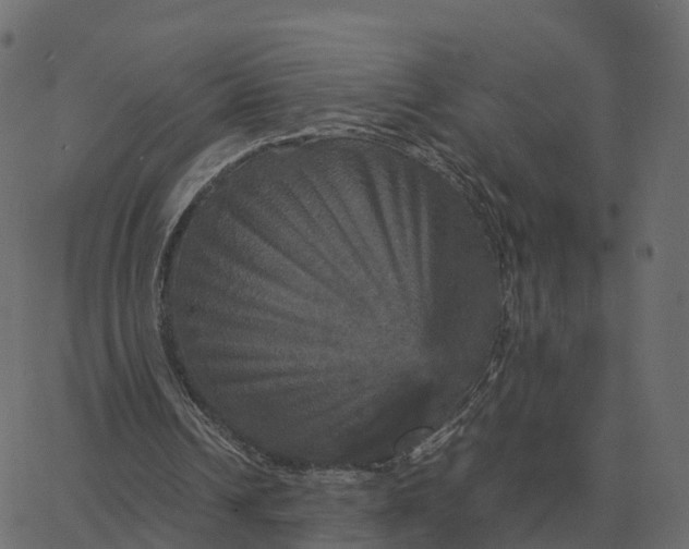 X0000067890242200604271834