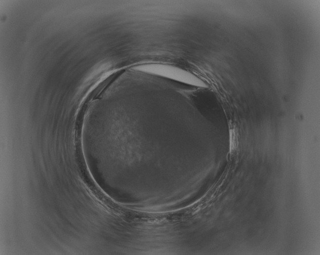 X0000067890243200604271834