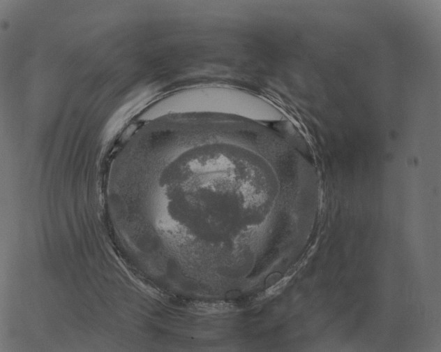 X0000067890245200604271834