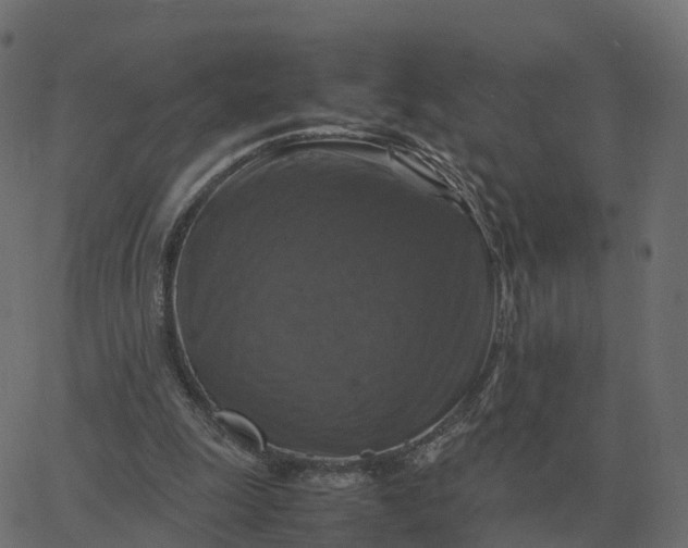 X0000067890247200604271834