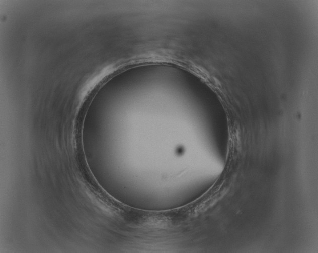 X0000067890248200604271834