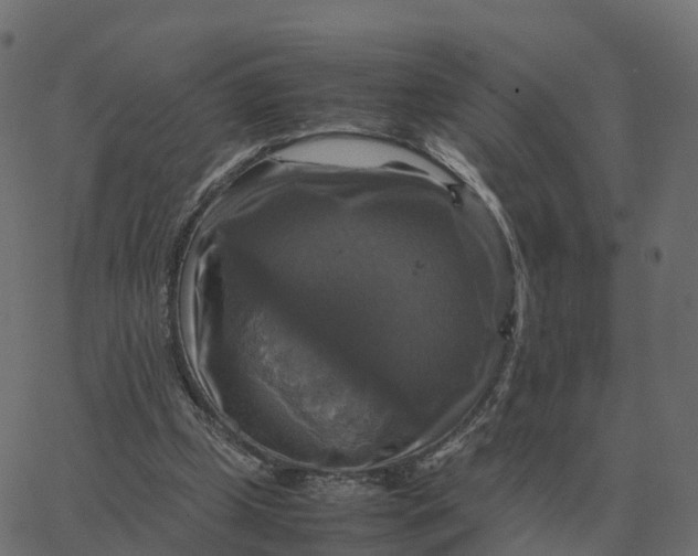 X0000067890249200604271834