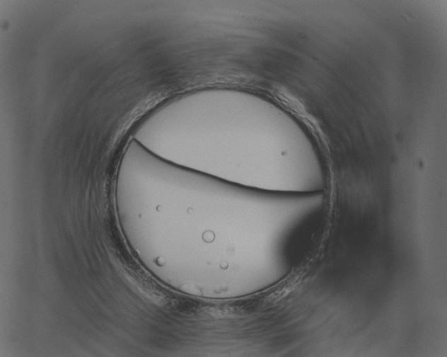 X0000067890250200604271834