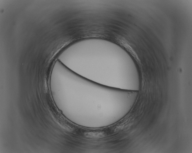 X0000067890251200604271834