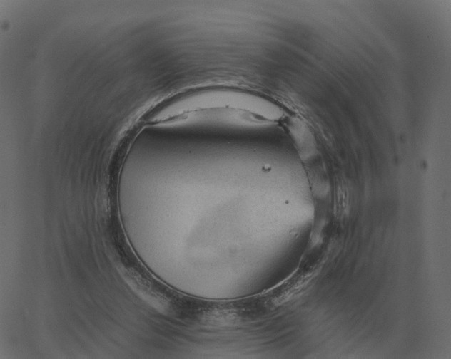 X0000067890252200604271834