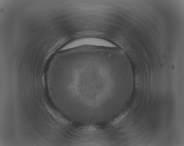 X0000067890254200604271834