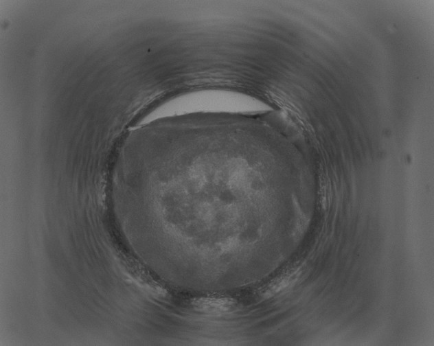 X0000067890255200604271834