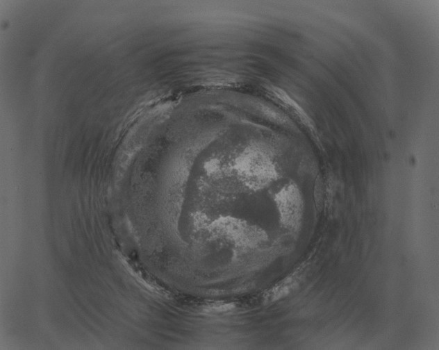 X0000067890257200604271834