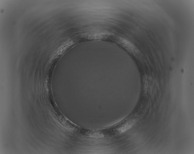 X0000067890258200604271834