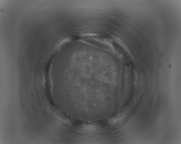 X0000067890259200604271834